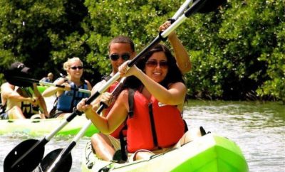 St Thomas Mangrove Lagoon Kayak and Snorkel Tour